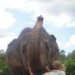 The Steve Irwin Australia Zoo in Beerwah, Queensland Review Picture