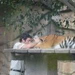 The Steve Irwin Australia Zoo in Beerwah, Queensland Vacation Information