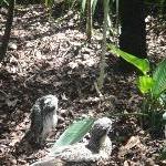 The Steve Irwin Australia Zoo in Beerwah, Queensland Photo Gallery