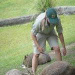 The Steve Irwin Australia Zoo in Beerwah, Queensland Photos