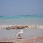 The gorgeous beach in Broome