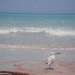 Broome Australia Turqoise waters of Cable Beach