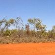 The red outback of Broome