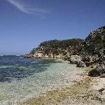 Rottnest Island pictures