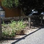 Rottnest Island Australia Quokkas on Rottnest Island