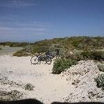 Rottnest Island Australia Sand dunes on Rottnest Island