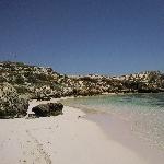 Perfect Rottnest Island pictures