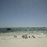 Beautiful ocean panorama on Rottnest