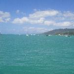 Airlie Beach Australia Whitsunday waters panorama