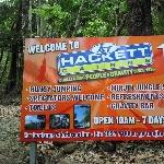 AJ Hackett Bungy Jumping in Cairns, Cairns Australia