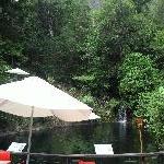 Bungy jumping above the water in Cairns, Cairns Australia