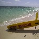 Beach patrol on Green Island, QLD, Cairns Australia