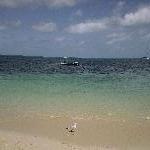 Day trip to Green Island from Cairns, Cairns Australia