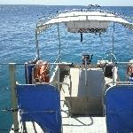 The Great Barrier Reef platform