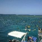 Snorkelling platform at Great Barrier Reef