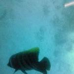 Underwater observatory at Great Barrier Reef