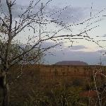 Dinner Tour at Ayers Rock