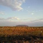 Looking out over Uluru