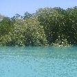 Willie Creek Pearl Farm in Broome