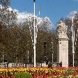 Tulip gardens around Buckingham Palace