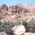 Bird sounds from Canyon Walls at Wadi Tiwi