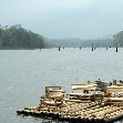 Kerala India Boat ramp at Periyar National Park.