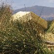 Puno Peru Bamboo made houses in Peru