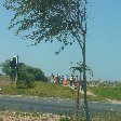 South African women crossing the street