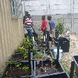 Gardening lessons in Nyanga, Cape Town