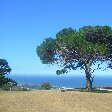The Beaches along the Garden Route
