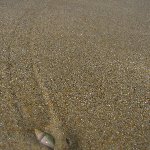 The beach at Wilderness