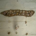 Shells on the wall