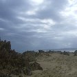 Rocky beaches in Buffalo Bay