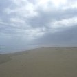 Sand dunes at Buffalo Bay Beach