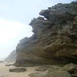 Coastal cliffs on the Garden Route