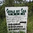 Seal spotting Tours in Australia, Cape Bridgewater Australia