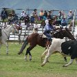 The traditions of the Gauchos in Salta