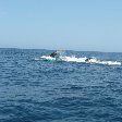 Spotting whales in Ecuador, Puerto Lopez Ecuador