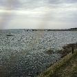 Walking to Granite Island from town, Victor Harbour Australia