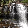 The Ubajara falls in the forest