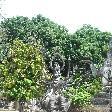 Travel blog about Vientiane, Laos, Vientiane Laos