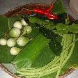 Fresh ingredients for our curry paste