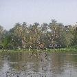 The river from our breakfast table, Nakhon Pathom Thailand