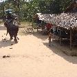 Elephant ride through the village, Kanchanaburi Thailand