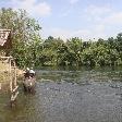 Bathing the elephants in Kanchanaburi, Kanchanaburi Thailand