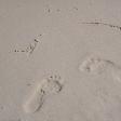 Ko Similan Thailand Footprints on Similan Beach