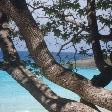 Great pictures of Ko Similan
