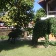 Garden elephant sculptures in Ayutthaya
