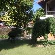 Ayutthaya Thailand Garden elephant sculptures in Ayutthaya