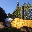 Pictures of the reclining Buddha